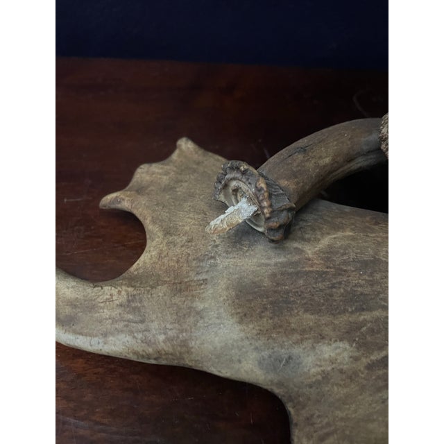 Early 20th Century Antler Vanity Mirror For Sale - Image 10 of 12