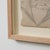 Wood Floral Study VIII by Afsoon Thayer For Sale - Image 7 of 9