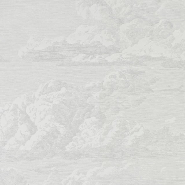 Sample - Schumacher Cloud Toile Wallpaper in Quartz For Sale
