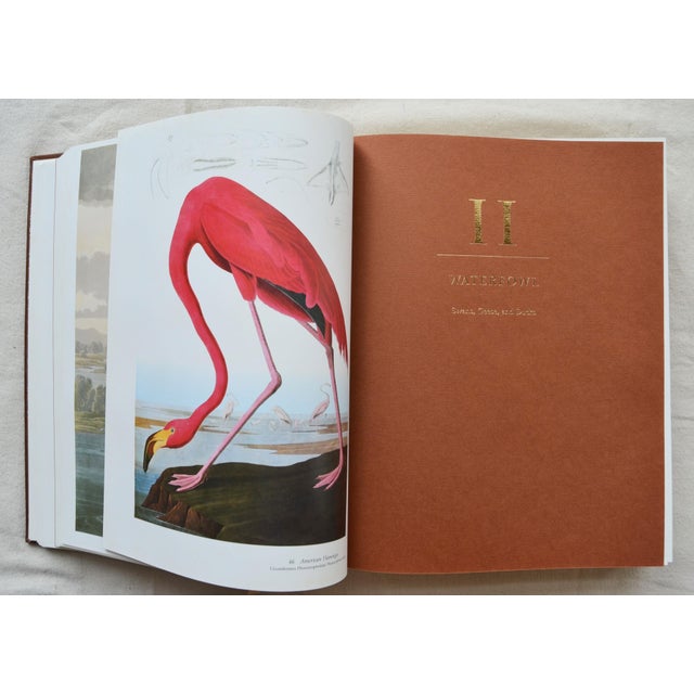1981 Signed Audubon's Birds of America: The Audubon Society Baby Elephant For Sale - Image 11 of 18