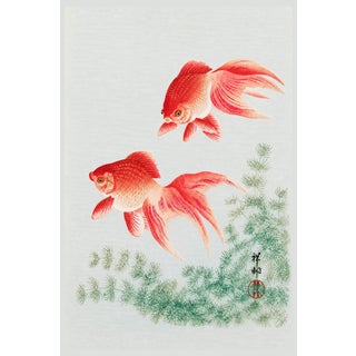 Two Veil Goldfish by Ohara Koson, Vintage Japanese Art Print Reproduction, 16" X 24" For Sale