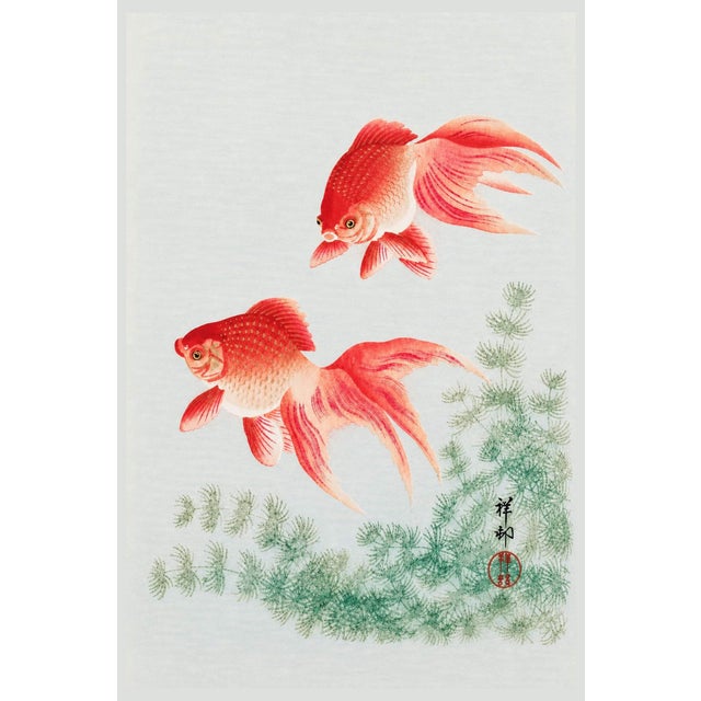 Two Veil Goldfish by Ohara Koson, Vintage Japanese Art Print Reproduction, 16" X 24" For Sale