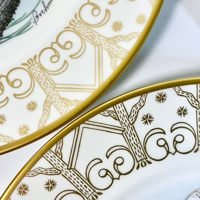 Brown 1980 Vintage Arts & Crafts English Bone China Owl Dinner Plates -Set of 8. For Sale - Image 8 of 18