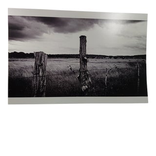 Texas Photography Landscape Photograph "Texas Hill Country Field Scene" Unframed Contemporary Black and White Landscape Photograph For Sale