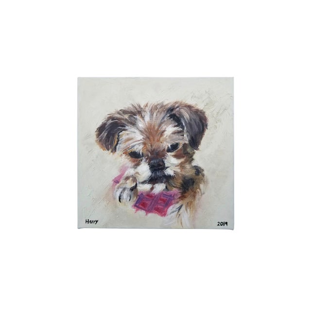 Paper “Harry” Giclee Print of an Oil Portrait of a Brussels Griffon by Linda Brush - For Sale - Image 7 of 7