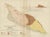 Paper Antique Geological Map of Aruba by Karl Martin, 1888 For Sale - Image 7 of 9