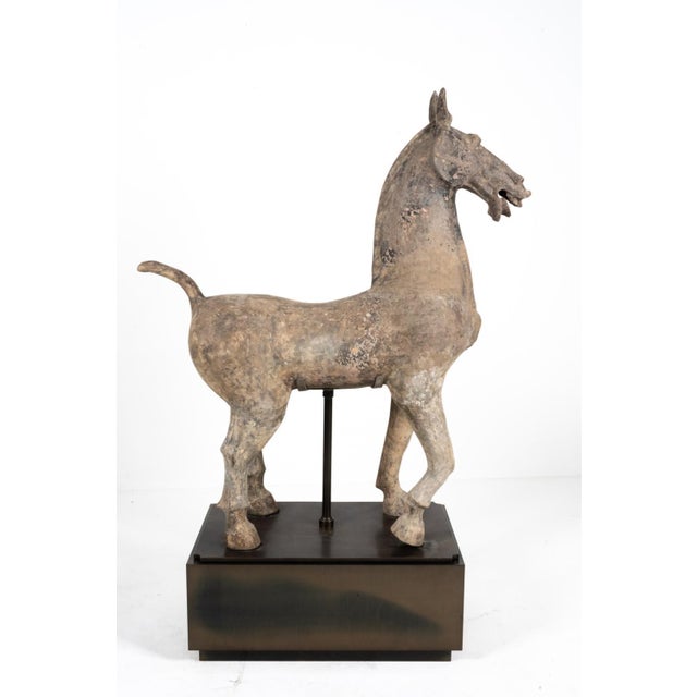 Ancient Chinese Han Dynasty Monumental Mingqi Horse Terracotta Sculpture For Sale - Image 4 of 12