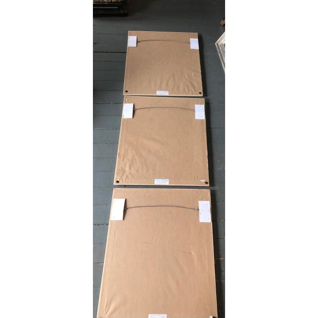 1970’s Gallery Wall Collection 3 Vintage Coral Seascape Hand Colored Engravings -Set of 3 For Sale In Philadelphia - Image 6 of 8