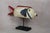 Mali Bozo White Puppet Fish For Sale - Image 4 of 5