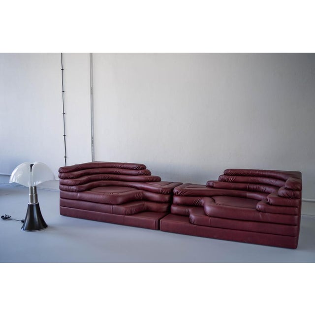 Brown Terrazza Sofa Landscapes in Burgundy Leather by Ubald Klug for de Sede, 1970s, Set of 4 For Sale - Image 8 of 18