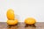 Garden Egg Chairs by Peter Ghyczy, 1968, Set of 2 For Sale - Image 12 of 18