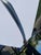 Antique Samurai Sword Long Wakizashi With Sheath : Muromachi (1336–1573) Japan Far East Easter Arms and Armor Weaponry For Sale - Image 14 of 17