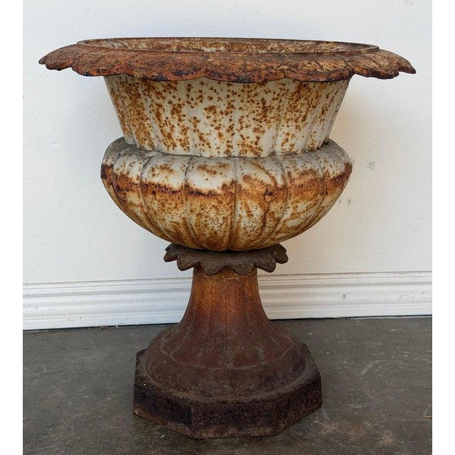 Antique French Cast Iron Garden Urn, Distressed Patina, 19th Century For Sale - Image 13 of 13