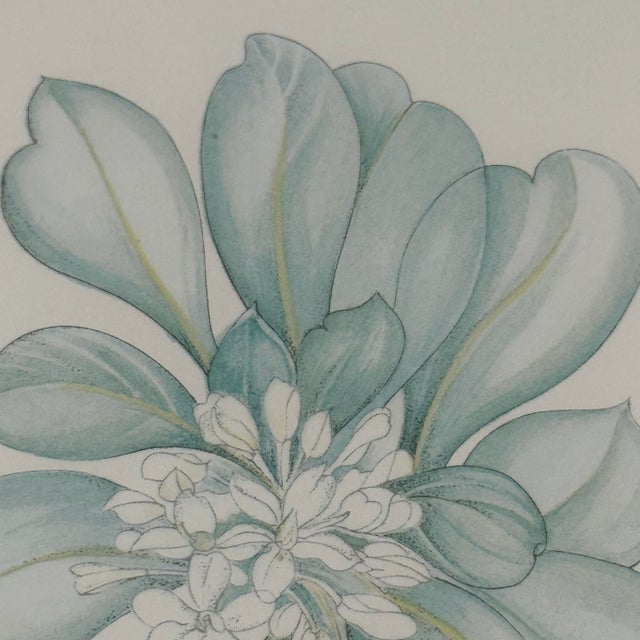 Paper Margot Weemaes 1981 Pittosporum Tobira Botanical Portfolio Print For Sale - Image 7 of 12