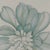 Paper Margot Weemaes 1981 Pittosporum Tobira Botanical Portfolio Print For Sale - Image 7 of 12