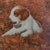 Realism Mid-20th Century Signed T. Parker - Dog With Puppies in Autumn Landscape, Oil on Canvas For Sale - Image 3 of 4