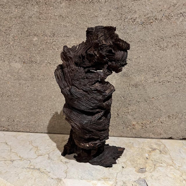 Wood 1970s Modern Art Wood Root Sculpture Organic Form For Sale - Image 7 of 10