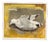 Ingeborg Stragnell, Seagull, 1960s, Oil Painting on Canvas, Framed For Sale