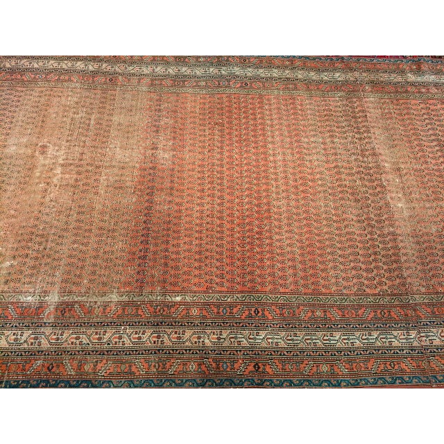 19th Century Antique Persian Saraband Gallery Area Rug, Hand-Knotted Wool, Allover Paisley Pattern, 7x12, Terracotta & Green For Sale - Image 5 of 7