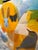 2020s “Printemps” a Fun Painting by LWren Walraven For Sale - Image 5 of 11