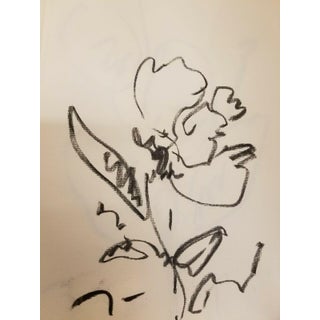 Contemporary Abstract Botanical Still Life Charcoal Sketch by Jose Trujillo For Sale