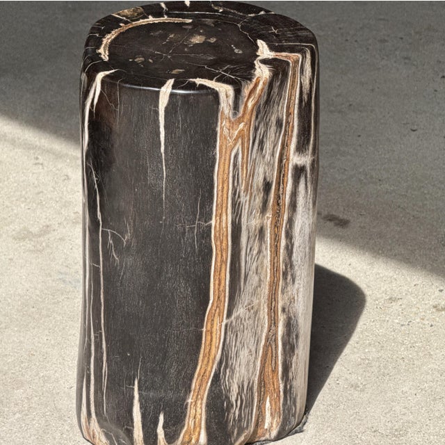 Side Table in Black Petrified Wood with White Sides and Beige Striations, 1980s For Sale - Image 18 of 18