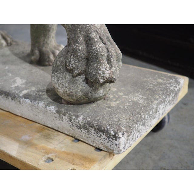 A French Medici Style Lion in Reconstituted Stone, 20th C For Sale - Image 10 of 18