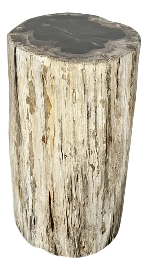 Large White Side Table in Petrified Wood