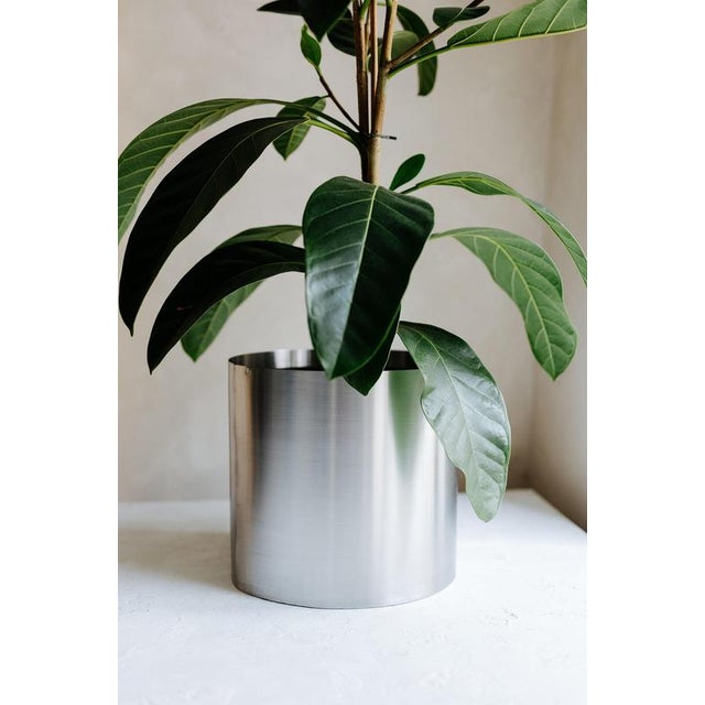 Metal Large Loto Planter in Stainless Steel by Form & Eisen For Sale - Image 7 of 18