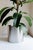 Metal Large Loto Planter in Stainless Steel by Form & Eisen For Sale - Image 7 of 18