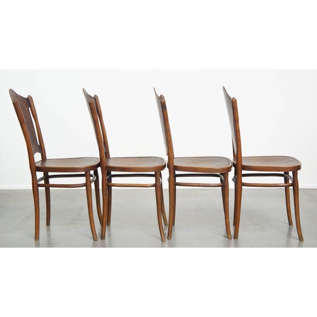 Antique Bentwood Chairs with Carvings by Jacob and Josef Kohn for Thonet, Set of 4 For Sale - Image 3 of 18