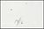 Sam Francis Mid 20th Century SF. 225; L.210, Sam Francis For Sale - Image 4 of 5