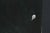 After J. Dupain, Abstract Composition, 1960s, Oil Painting on Board For Sale - Image 3 of 9