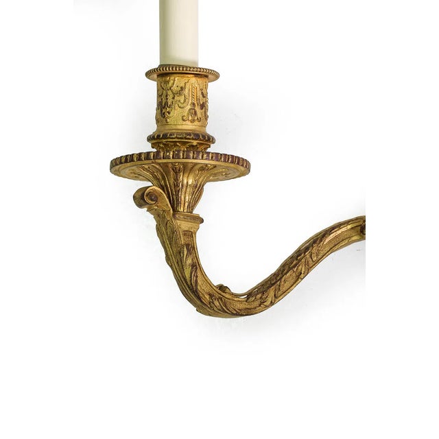 French Mid 20th Century Louis XV Style Gilt Bronze Wall Sconces With Black Shades - a Pair For Sale - Image 3 of 8