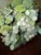 This is a truly exquisite rare beautiful piece ,Hand-Carved Jadeite jade Grapevine Bonsai Tree. Each and every grape and...