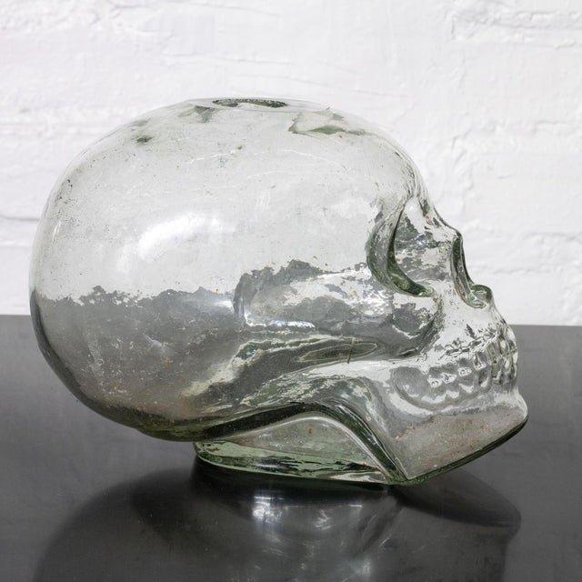 1990s Clear Glass Sculptural Skull Vase For Sale - Image 5 of 6