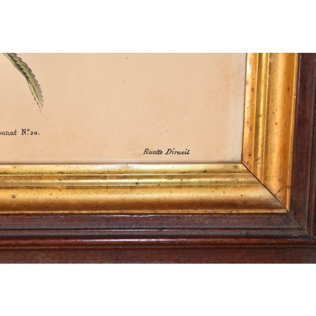 19th Century Louis Charles Ruotte Engraving For Sale In Greensboro - Image 6 of 8