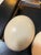 Large Pair of Authentic Ostrich Eggs For Sale - Image 9 of 9
