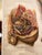 Genito-Urinary Anatomical Chart, Paper on Canvas, 1922 For Sale - Image 4 of 16