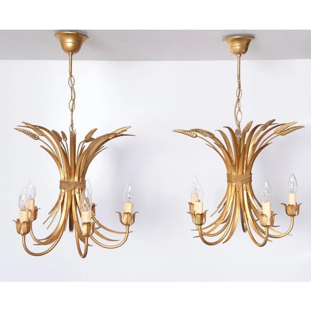 Gilded Brass Wheat Sheaf Chandeliers, Italy, 1970s, Set of 2 For Sale - Image 11 of 11