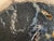 Andrianna Shamaris Rare Palm Petrified Wood Slab For Sale - Image 4 of 18