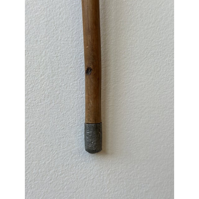 Antique Cane With Steam Bent Spiraling Branch Detail, Circa Early 20th Century For Sale - Image 12 of 16