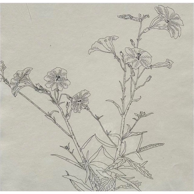 Contemporary Ed Baynard (American, 1940–2016) Floral, Flowers Etching Framed For Sale - Image 3 of 12