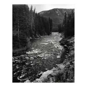 1969 Yellowstone River Landscape Photograph by Don Ware
