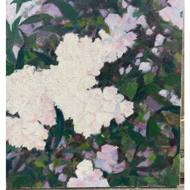Rare Original John Loughlin 'pink Hydrangea Bush' Flower Floral Oil Painting For Sale - Image 4 of 9