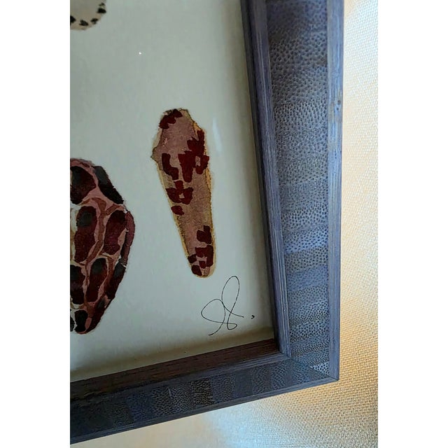 Limited edition print on archival paper - shells and butterflies Signed by artist Custom framed with museum glass