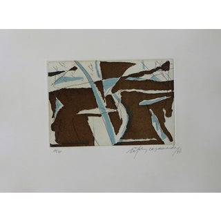 Alberto Rafols-Casamada, Estiu 4, 1988, Original Etching For Sale