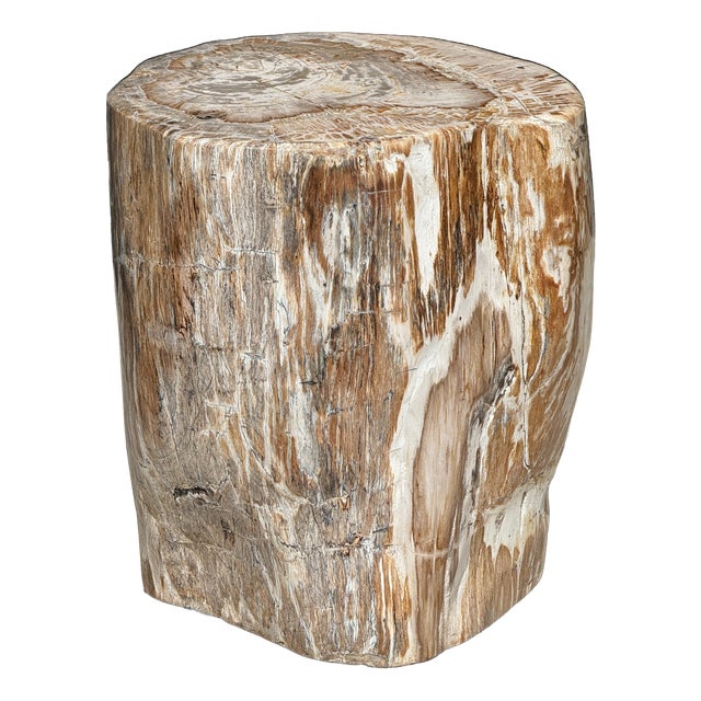 Large Side Table in White and Grey Petrified Wood For Sale