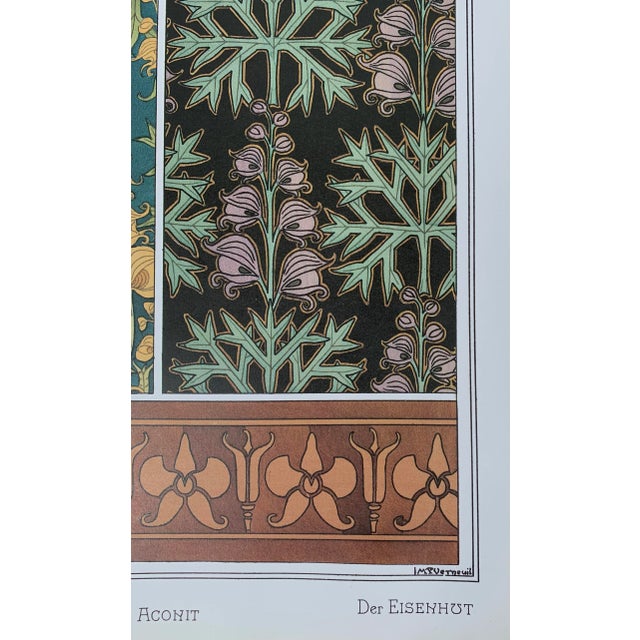 Art Deco Art Nouveau Wildflower Botanical Illustration Monkshood Wolfsbane Aconite For Sale - Image 3 of 5