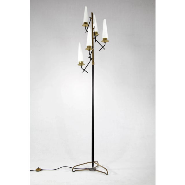- Floor lamp made in Italy, 1950s - 5 swiveling brass arms and opaline glass shades - Iron frame is painted black European...